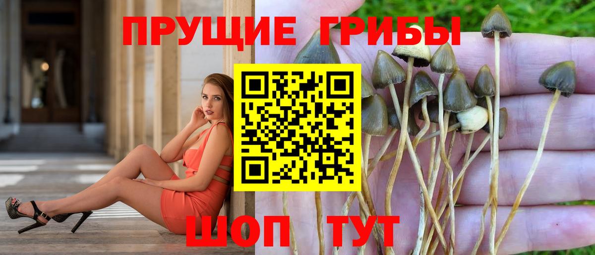 Псилоцибиновые грибы Magic Shrooms Тула